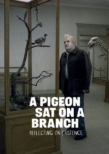 Nhìn Cuộc Đời Qua Đôi Mắt Chim Câu - A Pigeon Sat On A Branch Reflecting On Existence