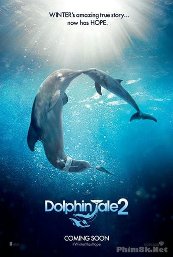 Câu Chuyện Cá Heo 2 - The Dolphin Tale 2