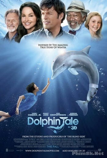 Câu Chuyện Cá Heo 1 - Dolphin Tale 1