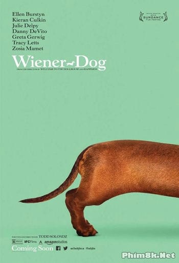 Giải Đua Chó Thể Giới - Wiener-dog