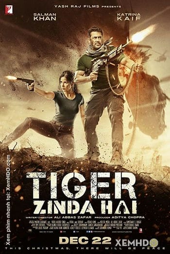 Điệp Viên Tiger 2 - Tiger 2 / Tiger Zinda Hai