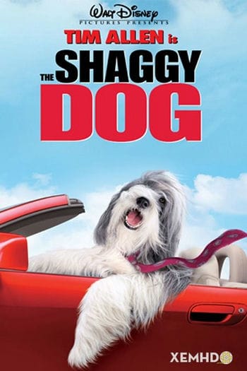 Điệp Vụ Chó Xù - The Shaggy Dog