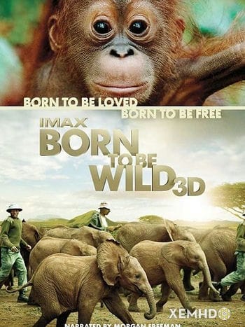Những Loài Vật Mồ Côi - Born To Be Wild