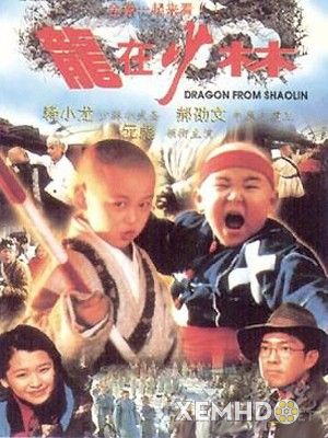 Rồng Thiếu Lâm - Dragon In Shaolin
