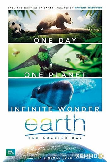 Trái Đất: Một Ngày Tuyệt Vời - Earth: One Amazing Day