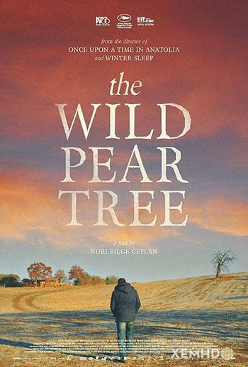 Cây Lê Dại - Ahlat Agaci / The Wild Pear Tree