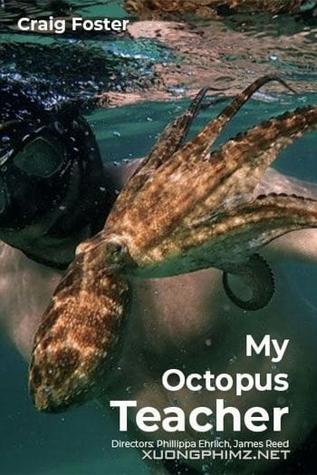Cô Giáo Bạch Tuộc - My Octopus Teacher