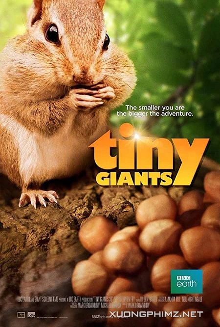 Thiên Nhiên Kì Thú - Tiny Giants 3d
