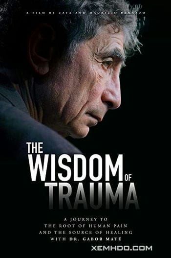 Sự Khôn Ngoan Từ Tổn Thương - The Wisdom Of Trauma