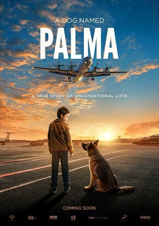 Chú Chó Palma - A Dog Named Palma