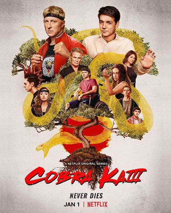 Võ Quán Karate Cobra Kai Phần 3 - Cobra Kai Season 3